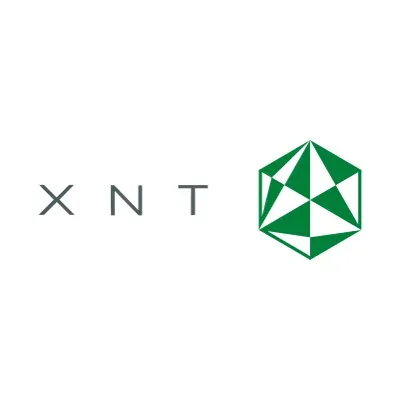XNT LTD. logo
